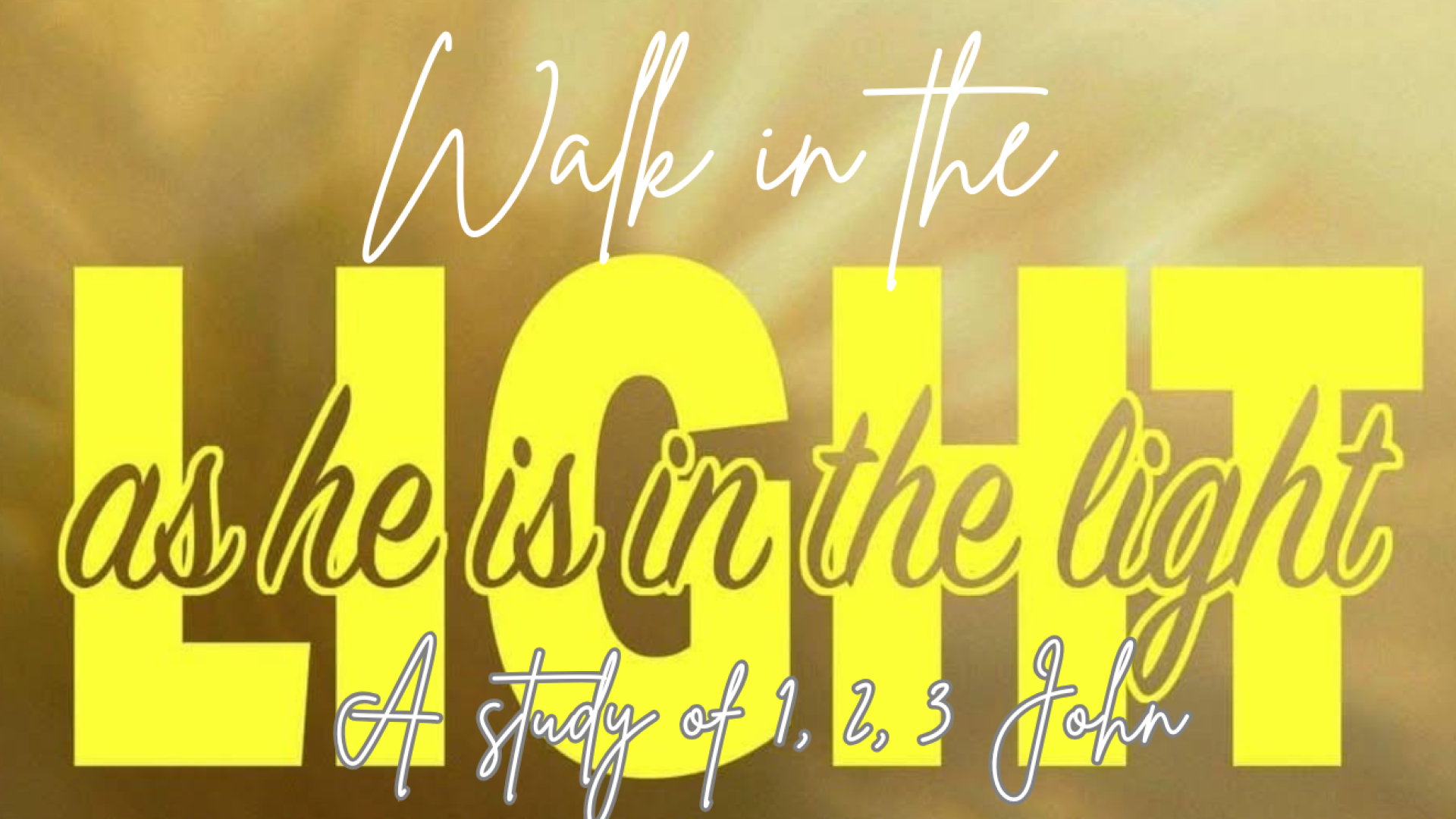 Ladies Morning Bible Study
