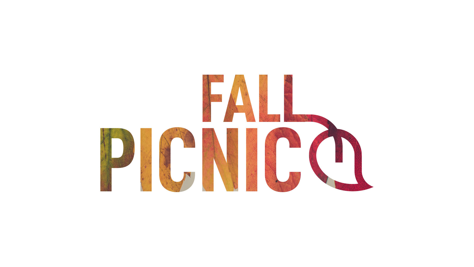Fall Picnic